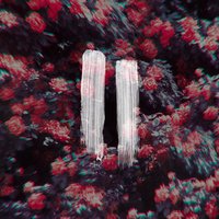 Womankind - Viva Brother