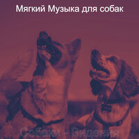Впечатление (Милые Собаки) - Мягкий Музыка для собак