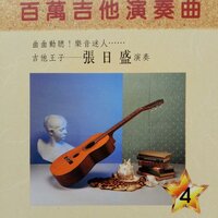 苏州夜曲 - 张日盛