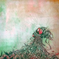 Husk - Forest Dlg