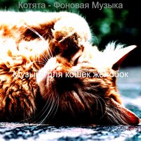 Настроения (Котята) - Музыка для кошек желобок