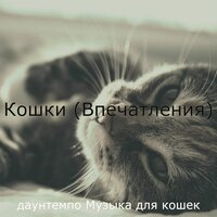 Звуки (Котята) - даунтемпо Музыка для кошек
