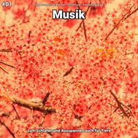 Entspannungsmusik pt. 64 - Entspannungsmusik Willi Antz & Schlafmusik & Entspannungsmusik