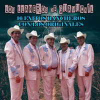 Te Ando Siguendo los Pasos - Los Llaneros De Guamuchil