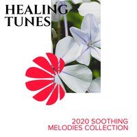 Deep Relief in Morning - Spa Music Paradise