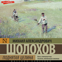 Михаил Шолохов. «Поднятая целина». Часть 69 - Владимир Капитонов