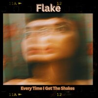 Nothing Happened - Flake