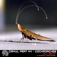 Dont - Cirkul