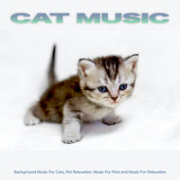Background Music For Cats - Cat Music Experience & Cat Music & Relax My Cat