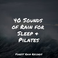 Tranquil Seas - Massage Therapy Music & Massagem Coleção de Músicas & Meditative Music Guru