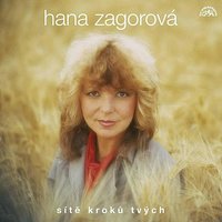 Zločin století - Hana Zagorová & Karel Vágner se svým orchestrem & Zdenek Rytir & Jaromir Klempir