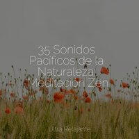Spa Indio - Musica Relajante Specialistas & Musica Relajante & Massagem Guru & Meditación Guiada