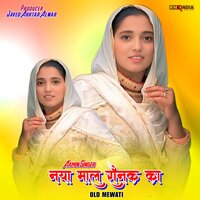 Naya Maal Ronak Ka Old Mewati, Pt. 2 - Aamin Singer & Akhlak Aajam