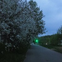 спагетти болоньезе - dj liminal