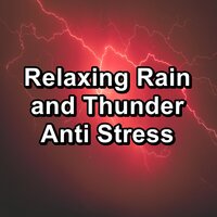 Gutter Rain and Thunder in the Rainy Forest To Sleep with for 8 Hours - Nature Sounds & 125 Nature Sounds & Relaxing Sounds of Nature