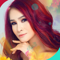 Không Còn Tình Yêu - Sơn Ca