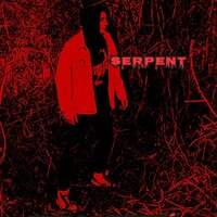 POCITY 3/4 - Serpent
