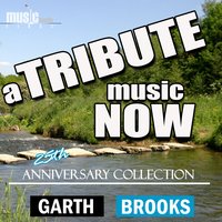 Ain't Goin' Down - The Tribute Beat