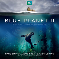 The Blue Planet - Jacob Shea & Hans Zimmer & David Fleming