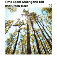 At One with Nature, Pt. 28 - Nature Sleep