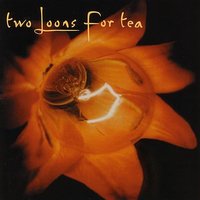 Stones And Bones - Two Loons For Tea & Brad Houser & Skerik & Sarah Scott & Jonathan Kochmer & Jessica Lurie