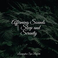 Floating on Air - Yoga Para Ninos & The Sleep Specialist & Meditative Music Guru