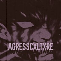 AGRESSCXLTXRE - kxrxmxn & sxreamkilla