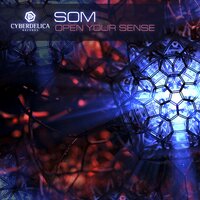 Shiva (Rework 2013) - SOM