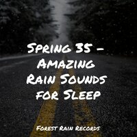 Windy Rainstorm - Soothing Nature Sounds & Relaxation & Massage Tribe