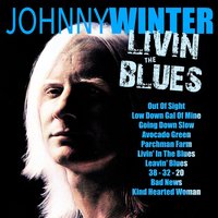 Bad News - Johnny Winter