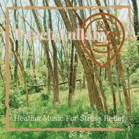 Warmth in the Quiet Hours - Peach Lullaby