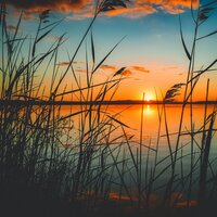 Relaxing Harmonies - Relaxing Nature Sounds Collection & Healing Meditation Zone & Natural Rain Sounds for Sleeping
