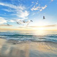 OCEAN SOUNDS: Mediation and Sleep Music, Pt. 1 - Ocean Sounds FX & Sleep Sounds Of Nature & Nature Therapy & Epic Soundscapes