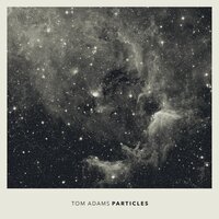 Particle XII (Reaction to Dancing) - Tom Adams