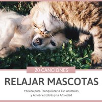 Acariciando su Alma - Juana Sueño