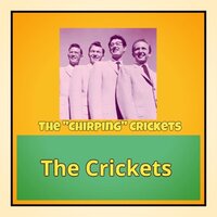 Send Me Some Lovin' - The Crickets