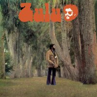 Haces Mal, Pobre Chico - Zulu