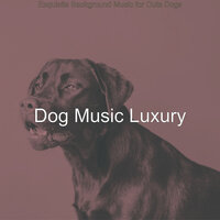 Background for Doggy Training - Dog Music Luxury