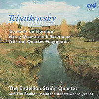 String Sextet in D minor, Op.70 'Souvenir de Florence': Allegretto moderato - The Endellion String Quartet & Robert Cohen & Tim Boulton & Пётр Ильич Чайковский