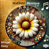 African Daisy - Maf3sto Musique
