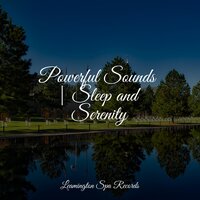 Drift Away into Dreams - Entspannungsmusik Oase & Sleep Sound of Nature & Soothing Baby Music