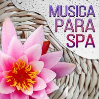 Health and Beauty - Academia de Música para SPA