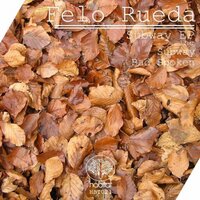 Bad Spoken - Felo Rueda