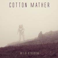 Girl with a Blue Guitar - Cotton Mather