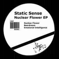 Nuclear Flower - Static Sense