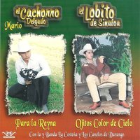 Ya Me Voy para Siempre - El Lobito de Sinaloa & El Cachorro Delgado