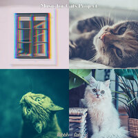 Cute (Training Cats) - Music for Cats Project