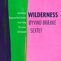 Flow - Øyvind Brække & Knut Riisnæs & Jacob Young & Bergmund Waal Skaslien & Per Zanussi & Erik Nylander