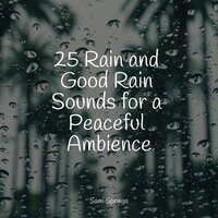 Rains Underground - Meditação Maestro & Chakra Meditation Universe & Tranquility Spa Universe