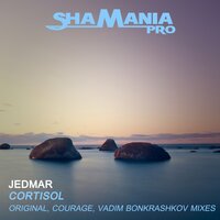 Cortisol - Jedmar & Vadim Bonkrashkov